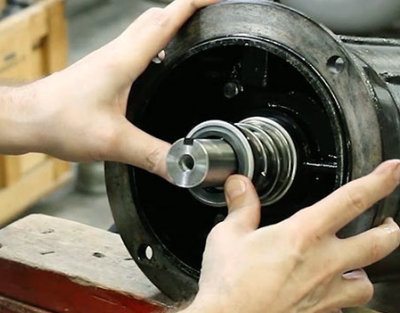 Mechanical Seal Replacement